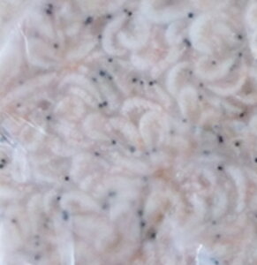 3kg オキアミ 釣具の人気商品 通販 価格比較 価格 Com