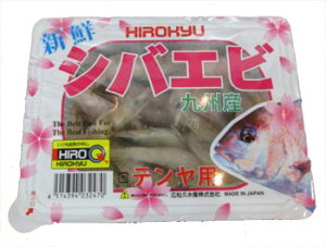 ⓀGT qL[ VoGr Dނ e 032470 ނa