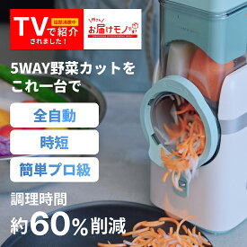 【ポイント10倍】電動 スライサー 家庭用 ザ パーフェクトオートスライサー 千切り 電動 玉ねぎ じゃがいも 大根 スライサー セット 人参 野菜 キャベツ千切り 芋 T-PROFESSIONAL