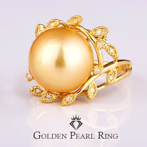 S[f p[ O w ANZT? WG[ S[h p[ ^    l fB[X GKg  ޏ  p[eB[ EFfBO  LO a N