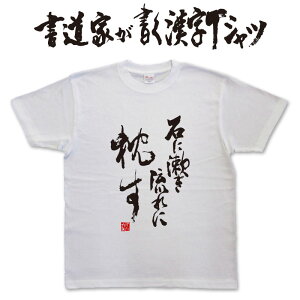 ΂ɟɖ (c) ƂTVc TVc T-timeIWivgTVc JX^I[_[Ch\ȕMTVc pt1 ..