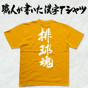 r(c){ɋP̖HTVc T-timeIWi TVc vgTVc JX^I[_[Ch\ȕMTVc ȂIWiTVc2