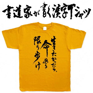 yAzƂTVc TVc {̕M ƂaTVcɂ܂ i[ jO WMO