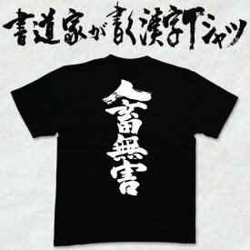 【人畜無害】書道家が書く漢字Tシャツ おもしろTシャツ 本物の筆文字を使用したオリジナルプリントTシャツ書道家が書いた文字を和柄漢字Tシャツにしましたpt1 ..
