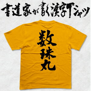 【数珠丸】書道家が書く漢字Tシャツ 名刀 おもしろTシャツ 本物の筆文字を使用したオリジナルプリントTシャツ 和柄漢字Tシャツ pt1 ..