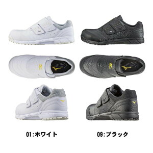 I[}CeBAS ÓdCѓdh~^Cv([LO)[jZbNX]SC [N ƒ Z[teB[V[Y c1ga1811