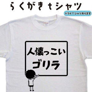 SeB[Vc lS 炭 TVc TVc STVc Y fB[X ʔTVc  傫TCY3L 4L 5LO}[ hCTVc TV