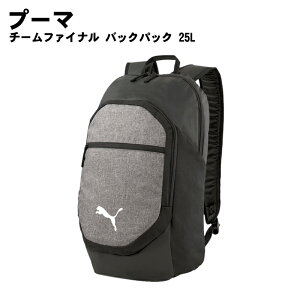 PUMA(プーマ)TEAMFINAL バックパック リュックサック バッグ 078943 2025年
