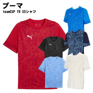 PUMA(プーマ)teamCUP TR SSシャツ 吸汗 速乾 スポーツウェア スリムフィット 半袖 660213 2025年