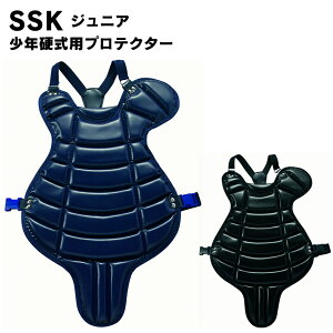 SSK(GXGXPC) NdpveN^[ 싅pi X|[c x[X{[ Lb`[pi