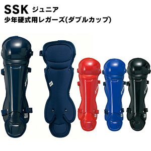 SSK(GXGXPC) NpK[Y 싅pi X|[c x[X{[ Lb`[pi