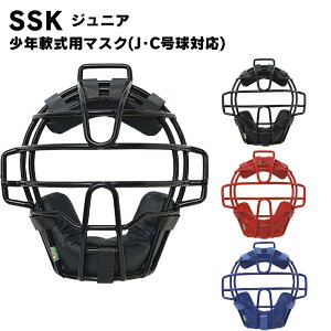 SSK(GXGXPC) Np}XN(JECΉ) 싅pi X|[c x[X{[ Lb`[pi