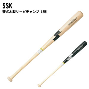 SSK(GXGXPC) [O`v LAMI dؐobg Cv |obg obg 싅 x[X{[ X|[c sbb3005