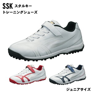 SSK(GXGXPC) X^L[ TR 싅 V[Y XpCNV[Y 싅pi x[X{[ ssf5201