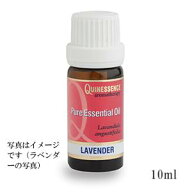ネロリ　5% ホホバ希釈 オイル（10ml）