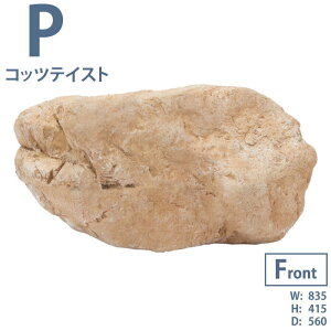 O[x@tFCNXg[@Xg[@RbceCXg@P@CG[@l΁@VR΂ČFRP@yďv@H₷@ړ₷@ɍœK@Xg[Iu