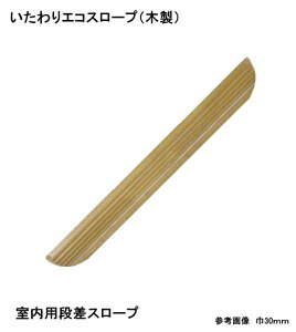 I\iOMSORGjGRX[v30@SO-ES30P /740x30xs80mm@1{̔ p