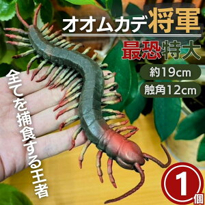 IIJfR 1 т tBMA u ߋ   p[eB[ObY hbL ObY ǂ ӂ W[N a Mtg TvCY Fl p[eB[ j[N 