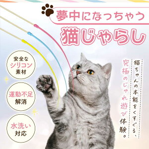 ĂSI ybg pi L炵 lY~̐K [Ver2[ |XeBbN S3F 3Zbg VR S L̂ Lp L̃XgX L̊ߋ ^sP XgXy 