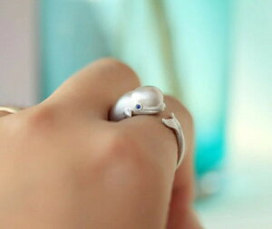 w NW ~ }bRENW t[TCY O C Vo[ANZT[ Vo[O w  t[TCY TCY\ ^ S | j[N L[g sL[ Y 