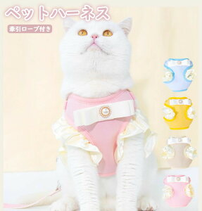 ybgpn[lX ^ p n[lX  ^ lR EFAn[lX n[lX n[lX Ȃ ̌^ 킢 ȒPE ߉\ h~ P݌y U op 4J