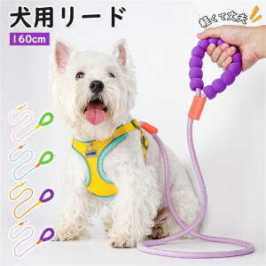 [h p Lk  ^ Oh~ y y v _炩 ^ [v  ybg[h     1.6m \tgnh  JWA Jt  U W