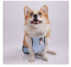   hbOEFA p Gv D悯  ybg ^ ^ L   Gv h j̎q ̎q ̕ Hc Č t`uhbO J TCY\ `