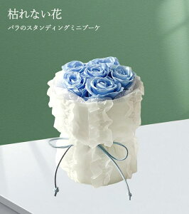 vU[uht[ ԑ ~j o i ͂Ȃ t[Mtg [Y KN uԑ VRf Ǝ ̓ l l a j ޏ LO v[g N