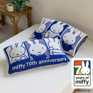 ~btB[ ̂т̂уs[P[X  ~btB[70Ni LbYp Jo[ o[Vu 슔 qp WjA s[P[X ւJo[ p Jo[ ܂Jo[ 芷