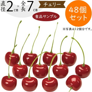 HiTv  lC `F[ ʕ t[c A tFCNt[h  t[AWg fBXvC e[uR[fBl[g  Hi͌^  X HX 