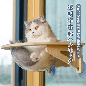 Lp FD zՌ^ nbN xbh L  xbh ͋z ω׏d 20kg L    t^Cv zՃnbN ybgp L zՌ^ Lp FD nbN xbh ͋z ω