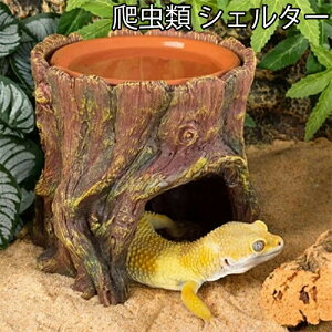 ঒ VF^[ B EFbgVF^[ ؂̌ A    ێ nCh{bNX ޗpi