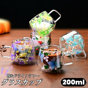 KXJbv _uEH[OX hCt[  Ԃт dOX 200ML ϔMKX 6 i` nht R[q[Jbv eB[Jbv ^fM d\ t KX