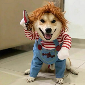  L nEBł劈 hbOEFA LΉ  RX`[ m qL ϐg  ˂   p lR lC  NX}X  񑫕