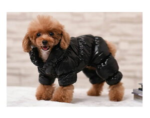   H~ xXg  V g ^ ^  L p ybgp ybgpi o U ̕ ~ h ˂̕ _EWPbg N _E JbRCC ؍ h