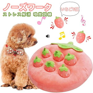 6 m[Y[N }bg  mߋ  m[Y[N}bg   T[N^Cv m炨  ̂ I` C`S  ybgp  ^