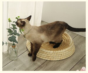 ybgxbh ybgp\t@  L ҂ ҂ \t@ ߂Ƃ oo ~^ a35cm ܖ xbh \t@ xe XgX ^sP Ƌی ϋv V ybgpi x 