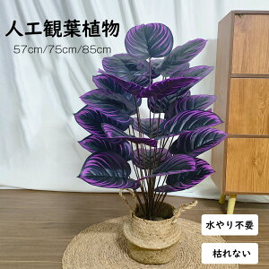 lHϗtA tFCN tFCNO[ ^  57cm 75cm 85cm  k CeA  O ItBX ݑ tFCNA sv ͂Ȃ ~͐A p Bep  A 