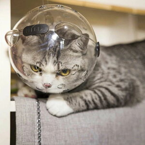 (L) }XN wbhMA  L ^ EHh~ rߖh~ ݕth~ ⏕p ܐ؂ ʋCUP y  ybg}XN