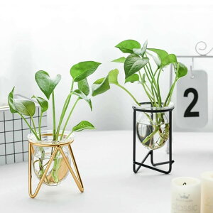 ACA C[ t[ t[x[X X`[ ԕr ֑} ԕr t[ԕr A k ؍ CeA G hCt[ Vv  ̓ NX}X v