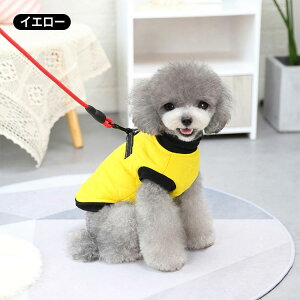   R[g ~ xXg ȈՃn[lXt t@Xi[ wJ j̎q ̎q ȓ  ̕ {A N ^ ^ WPbg AE^[ H~ ₷ 킢  