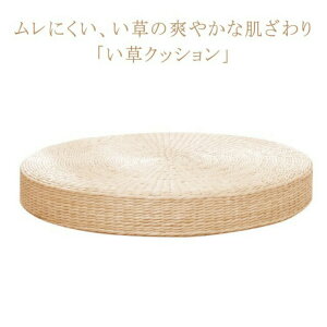 10cm~  a_ NbV  a40cm tANbV CeA ᔽ a  i`f V[gNbV K y ʋC