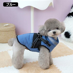   wJ  ӂ  ̕ n[lX̌^ {A _ExXg ^ ^ WPbg AE^[ H~ j̎q ̎q ₷  킢  X^C g