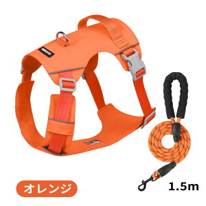  n[lX [h ^ ^ ^  Ȃ y ʋC    n[lX pn[lX ybgpi p AEgbg \tgn[lX  n[lX  E