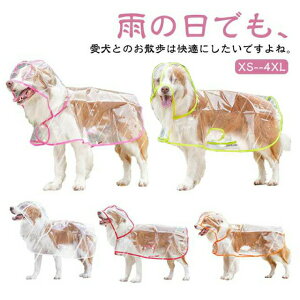  pCR[g  ^ Jbp  CR[g EȒP 悯 Č ȍ C|` ^ t[ht ϐ ^ Jbp |`^ ΍ 