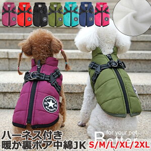 yn[lXtz p h ȃWPbg _EWPbg _E xXg WPbg R[g  g ~  ^ ^ hbOEFA  {A t[X Wbv 