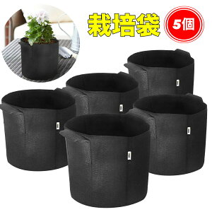 sDzv^[ A 5 z ƒ؉ ؍͔| | A琬 搧 e