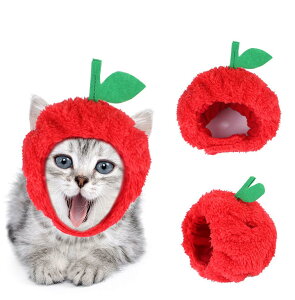 Be 䙉 ybgXq  Apple  ʔ  Abv  L[g L ^ ybgpRXv  ь Halloween nEB S EȒP hbOEFA Ln