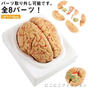 ���W�� �w�K �����\ �׋� ��w �S8�p�[�c���O���\ ���� �] �]���f�� �f�� �]�݂� �͌^ ��] �w�K �]�͌^ ��U �d�g�� �l�̖͌^ �f�ʐ} �}�� ��t ��w�� �_�o�w �e�X�g �]��U�͌^