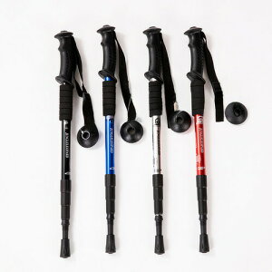 gbLO|[ Lk 2{Zbg y A~ oR EH[LO N  y gbLO |[ XgbN oR EH[LO|[ AEghA oRpi I^ S 110cm